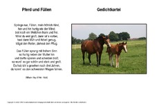 Pferd-und-Füllen-Hey.pdf